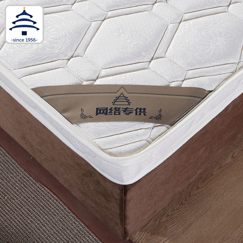 ��̳�Ҿ߱�����W149-003