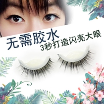 3D self-adhesive false eyelashes natural dense plain face simulation beginner glue-free glue mink hair eyelash female magnet