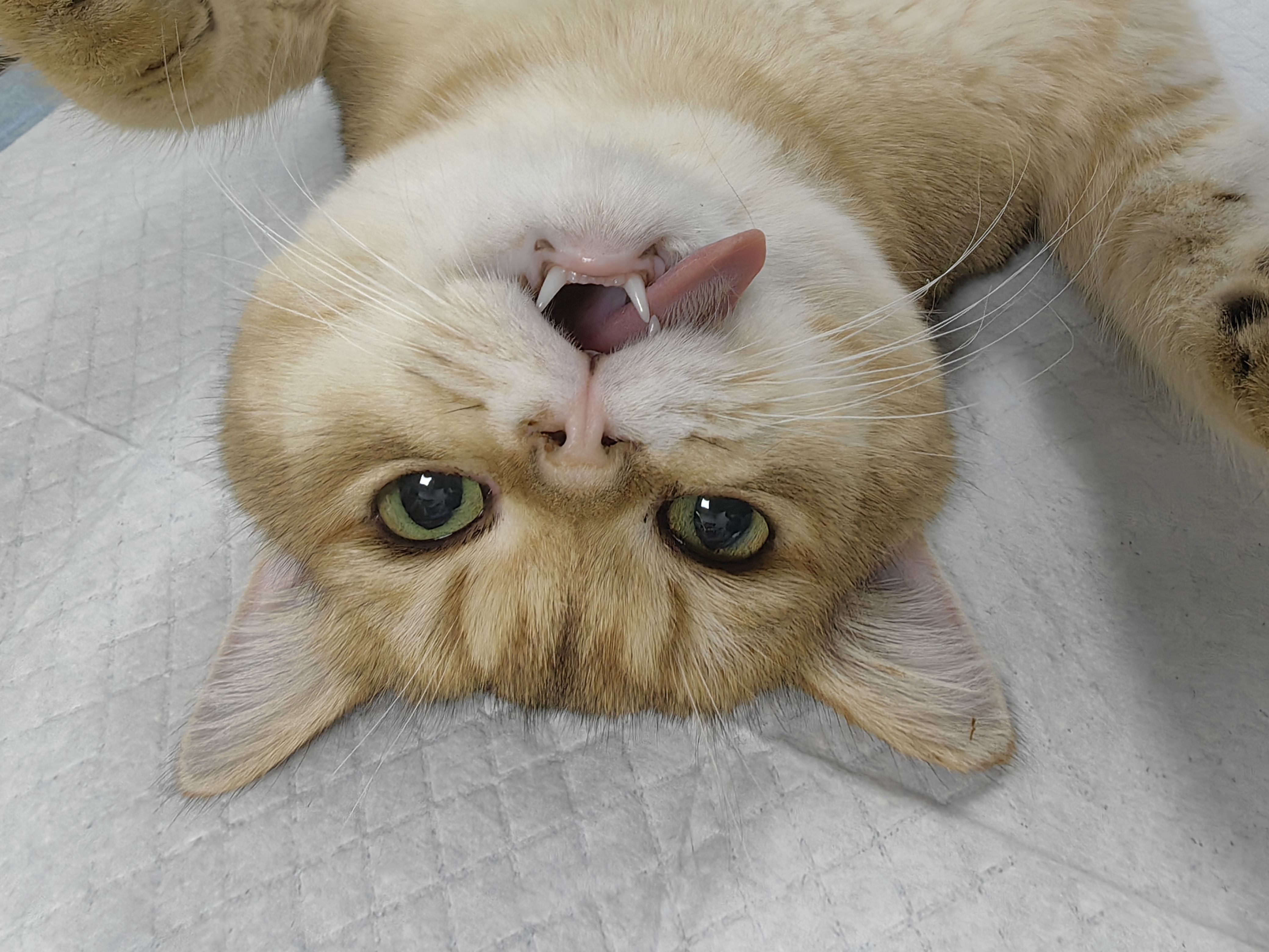 小资家潮鞋工厂企业店