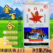 Golden Lily fragrant rice clay pot rice special rice long grain fragrant rice jasmine fragrant rice 50 pounds classic jasmine fragrant rice indica rice