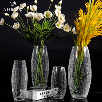 Glass ice flower transparent modern simple hydroponic household dry flower large water rich bamboo living room table vase
