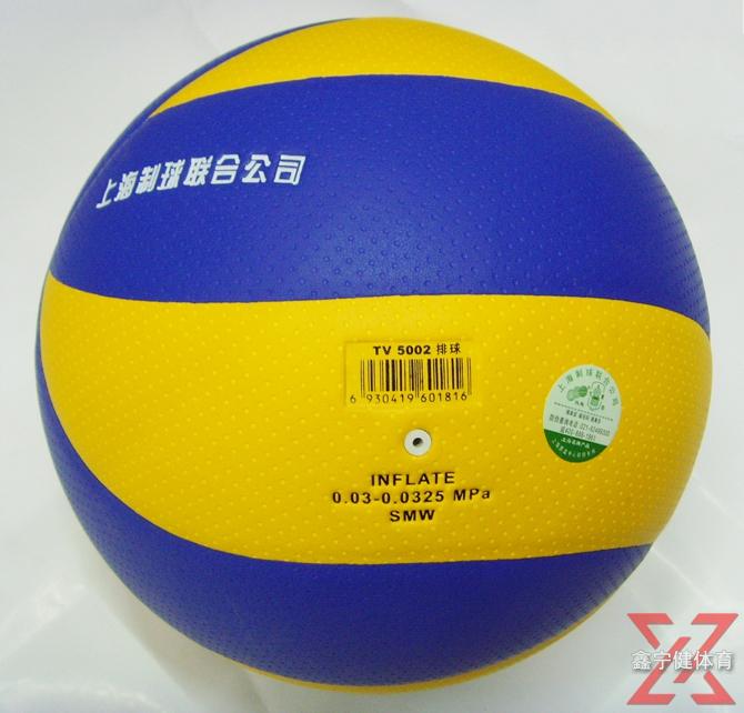 Ballon de volley - Ref 2009898 Image 36