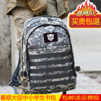 Junior high school students high school students backpack men and womens mountaineering travel tactics three-level package summer camp travel bag