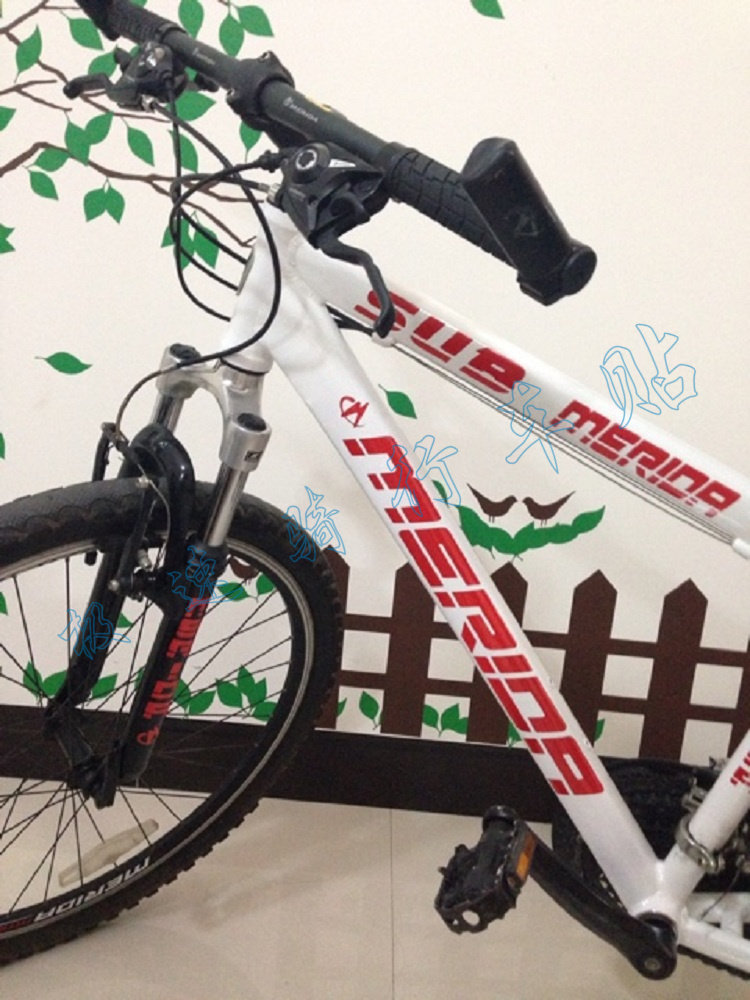 Décoration pour vélo - Ref 2282121 Image 5