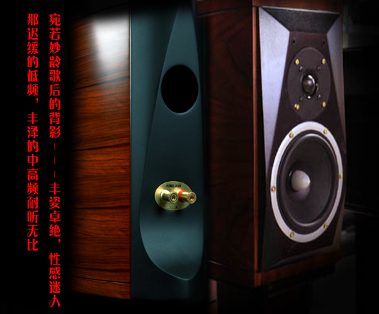 Reengrave Maple Leaf Sound FS7 | Original Unit Fever Bookcase Box Speaker HIFI speaker