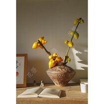 Flowers five generations of fruits five generations fruit milk Solanum household flowers water flowers auspicious fruit golden fruit