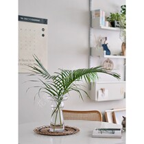 Flower summer cool flower material loose tailed sunflower flower flower arrangement water fresh cut flower National Shunfeng Express