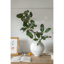 Flower Magnolia leaves fresh-cut branches water-raising Chinese Oriental Zen flower arrangement household flowers National Shunfeng