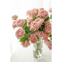 Flower Juliet Tower Rose Home Flower Water Cultivation Garden Austin Rose Flower Type National SF
