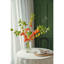 Flower autumn fruit Dutch imported acid Berry small lantern household flower water breeding flower arrangement National Shunfeng