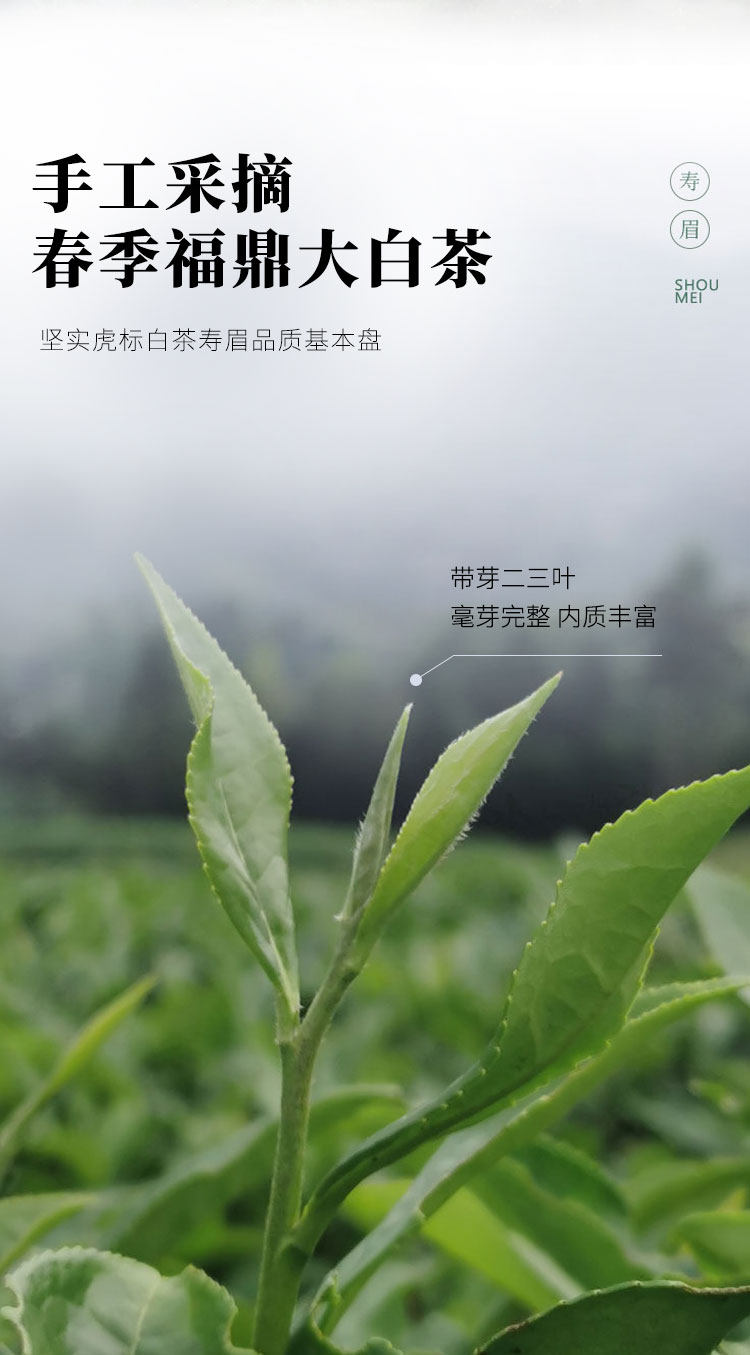降10元新低！国家地标产品：200g 虎标 2018年份紧压寿眉福鼎白茶饼 92.6包邮（之前推荐102.6元） 值值值-买手聚集的地方