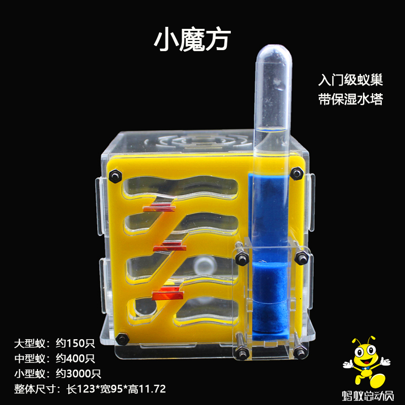 Little Rubik's Cube acrylic ant nest vibrato ant nest ant house ant workshop world tribe castle birthday gift