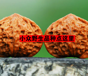 Small Wild Lion Head Dragon Stone Look at Moon Embroidery Ball Door General Yuanjewha Die Grinding Panel South Jinjiang Stone