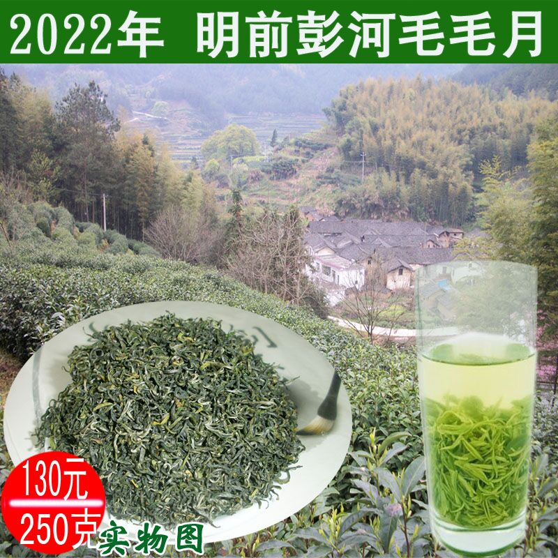 2022 New tea Anhui Tianzhu Mountain tea Xuanyue Submountain special production Peng River String Moon Ming Former green tea