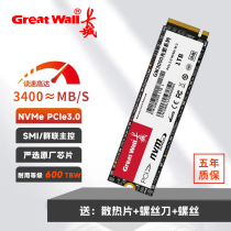 Great Wall m2 Solid State 1To Hard Disk 512G High Speed NVME Desktop 2TBSSD Notebook PCIE3 0 tout-en-un