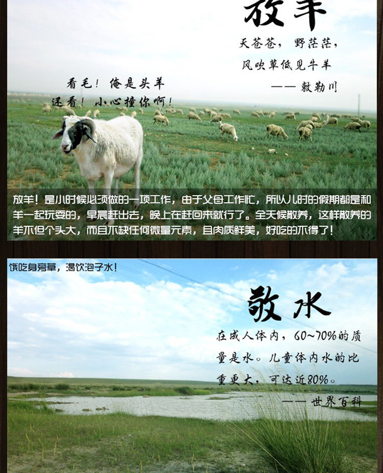 Timp page_02.jpg