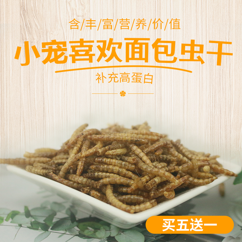 Bread Worm Dry 50g Hamster Grain Golden Silk Bear Food Staple Food Feed Nutritional Yellow Pink Bugs Buy 5 Send 1