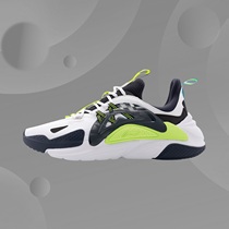 Li Ning Casual Shoes Mens Shoes 2020 New Stars Fire Men Breathable Light Trend Classic Sneakers AGLQ057