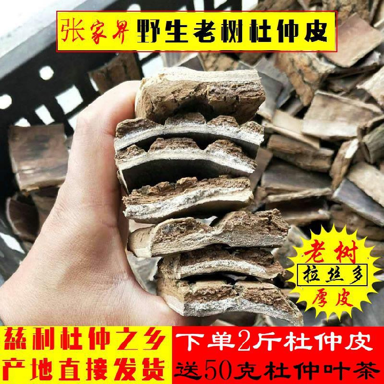 The Cortex's Zhangjiajie Wild Cortex 500 gr Old Tree Thick Peel of Cortex Eucommiae Tea Bubble Wine Tea Non-Flowers Tea