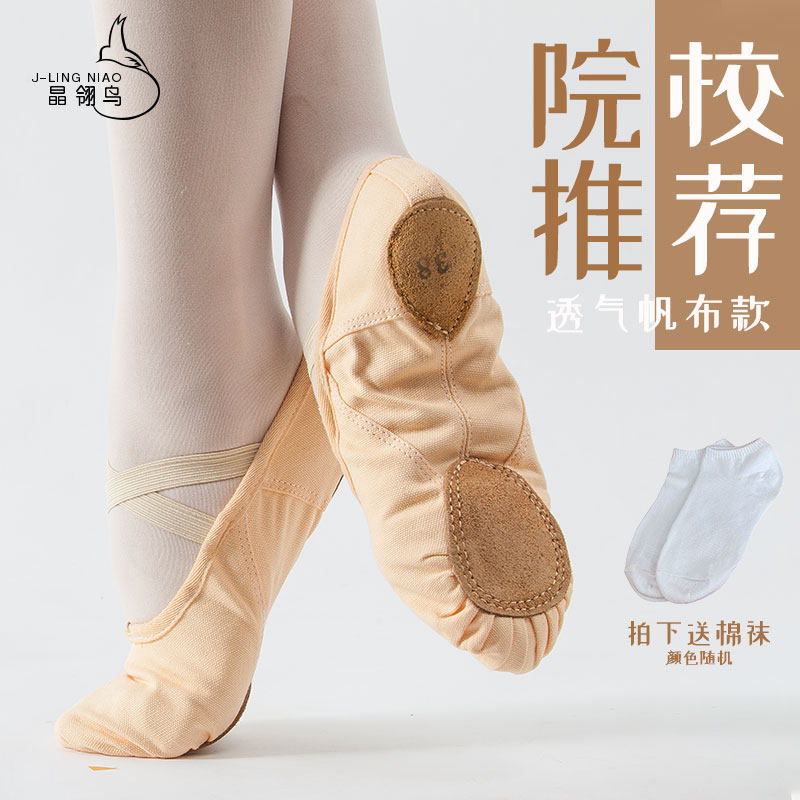 Dance Shoes for Girls Soft Soles Kids Practice Cat Claw Shoes for Kids Ballet Body Professional Summer Folk Dance Shoes