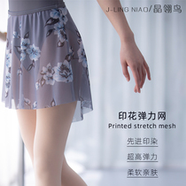 Ballet Dresses Dresses Dress Woman Half Body Dress Teacher Adult Teacher Stage Performance Class Performance Class Short Skirt High End