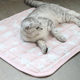 ເຢັນແລະ breathable ~ ເຕັກໂນໂລຊີສີດໍາເຢັນ pet mat dog kennel mat ice silk mat cat cool mat spring and summer non-stick hair