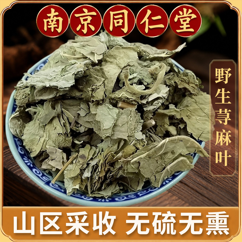Tongrentang Wild Nettle Leaf Chinese Herbal Medicine Genuine Nettle Leaf Hemp Leaf Small Nettle Snake Hemp Leaf Biting Plant Tongrentang Wild Nettle Leaf Chinese Herbal Medicine Genuine Nettle Leaf Hemp Leaf Small Nettle Snake Hemp Leaf Biting Plant