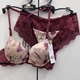 2019 mùa thu mới Hàn Quốc BVB bra set nữ thời trang ren sexy khóa lưng đẹp tập hợp đồ lót bra - Bộ đồ lót