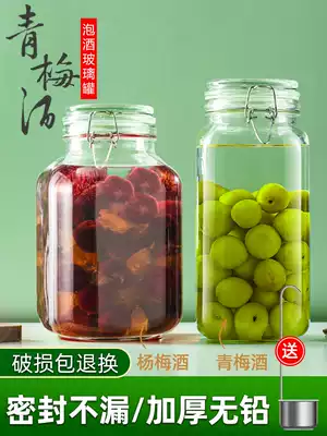 Bubble wine glass bottle Special wine sealed jar Fruit wine bayberry wine bottle Empty bottle container wine jar Plum wine jar