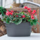 Huolun wall hanging pot plastic flower pot hanging wall ລາຄາພິເສດ pot frosted pot hanging flower planting pot hanging orchid pot hanging pot