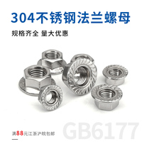 Stainless Steel 304 Flange Nut Nuts Hex Nut Hex M5 M6 M8-M12