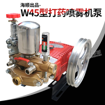 Agricultural high pressure spray pump Haishun W-45 three cylinder plunger pump Alpine Orchard sprayer farmland spray pump