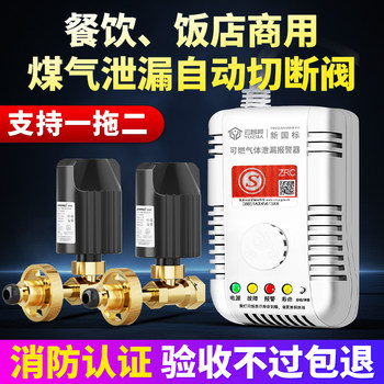 Cutting Valve Alarm Gas Leakage Automatic Blocking Valve One to Two Wireless Gas Leak Detector Gas Cutting Valve