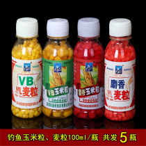 Fishing Corn grain Wheat grain Western wind musk corn grain VB wheat grain wild fishing Black pit carp grass carp bait fishing