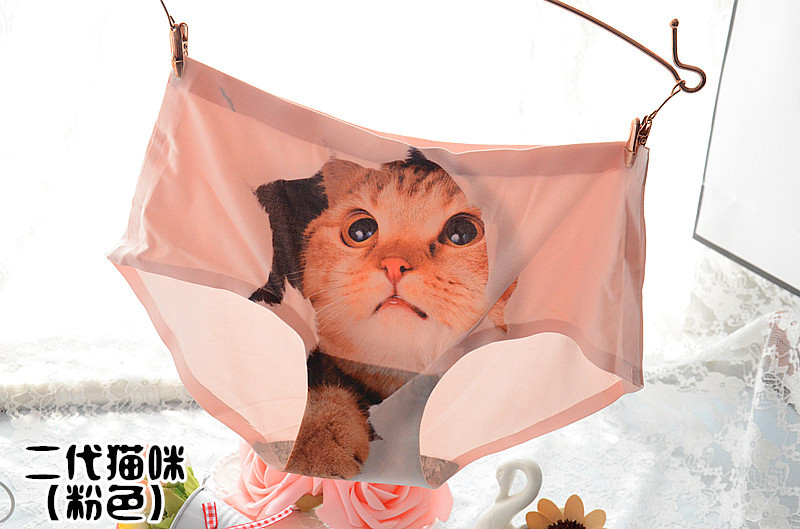 Slip jeunesse sexy en soie Ice - Ref 653876 Image 22