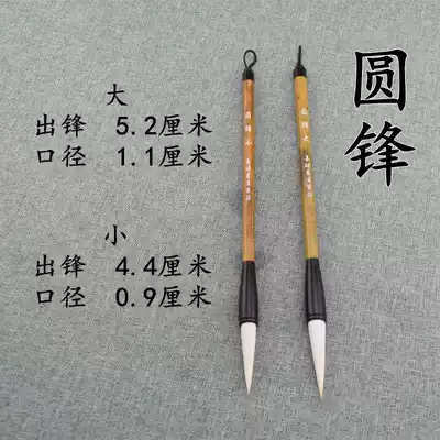 Tiaoxi round front brush plus healthy sheep training adult calligraphy