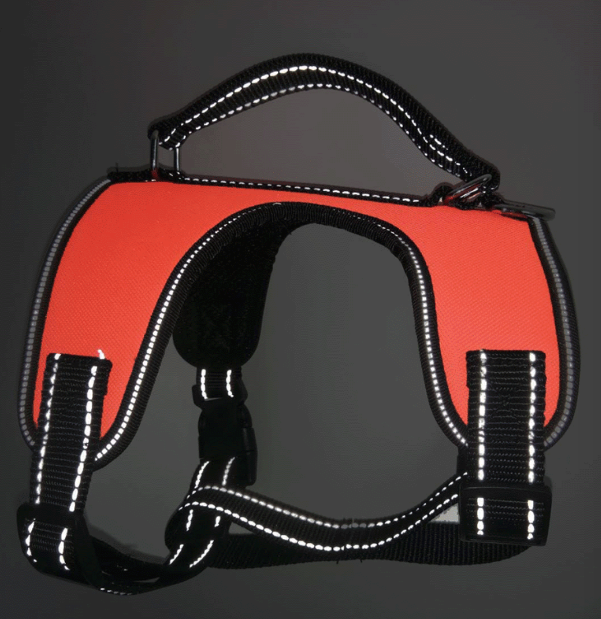 AVC Pet Training Special Brast Bag Handheld Design Correction Posture Guide Training