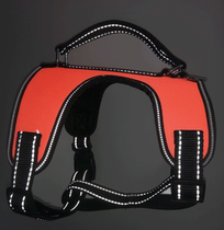 AVC pet training special chest strap hand-held design Correct posture guidance training