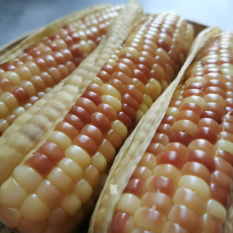 South East Edition Naxy Glutinous Rice Corn Corncorn Soft Glutinous Old Variety No Add Natural Sweet Glutinous Vacuum 4 Jin