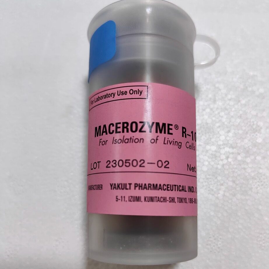 伊势久生物 离析酶R-10 Macerozyme R-10 科研专用