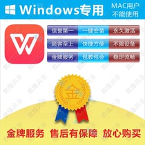 2019WPS professional advertising-free enterprise edition with macro library VBA plug-in office software