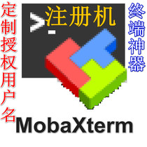 MobaXterm Professional Pro Permanent 999999999 Users can update registrar