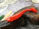 Рыба типа T11 Pure Red 10 штук
