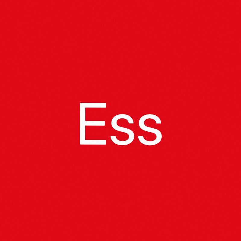 Ess定制女装店
