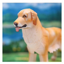 Childrens puzzle DIY stereo manual manual simulation animal gold dog pet dog 3D paper model toy