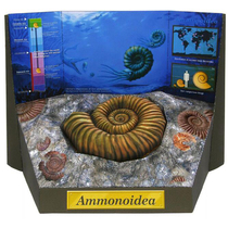 3D Paper Die Solid Puzzle Model Diy Hand Folded Paper Children Toys Nautilus Fossil Prehistoric Animal Creatures