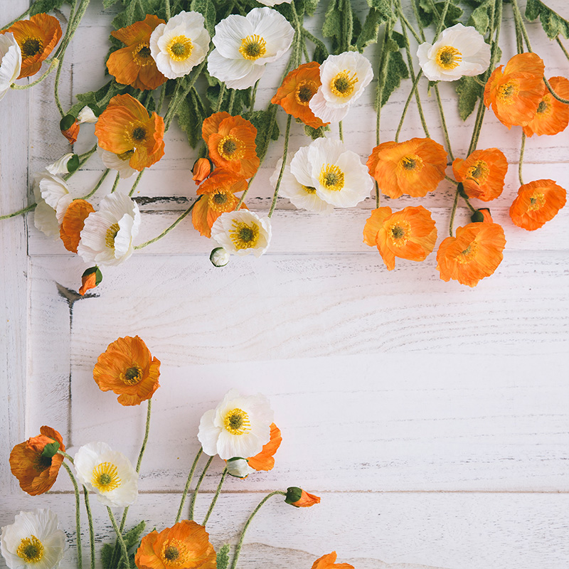 Fresh Yu Beauty Poppy Flowers Dried Flower Emulation Flower Suit Art Decoration Living Room TV Cabinet Home Ornament Swing