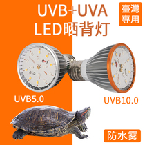Taiwan 110V LED turtle basking light bulb UVAUVB5 0 10 0 full spectrum climbing pet lamp ultraviolet calcium supplement