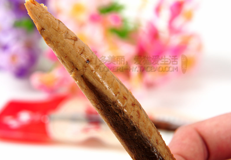 Thú cưng răng khỏe mạnh ăn vặt mực thịt mèo ăn vặt mắt sáng mắt mèo đẹp thức ăn một gói 5 15 Review các loại hạt cho mèo