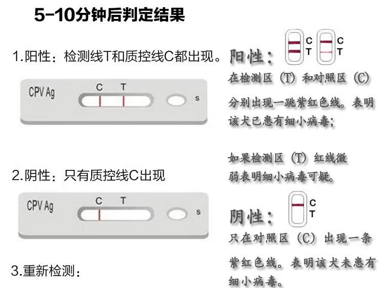 Parvovirus parvovirus checksum memory card and dog testing of dog pet các loại vật tư y tế cho thú cưng